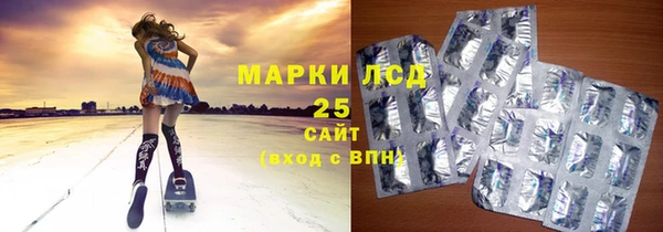 ПСИЛОЦИБИНОВЫЕ ГРИБЫ Бородино