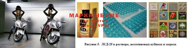 ПСИЛОЦИБИНОВЫЕ ГРИБЫ Бородино