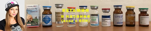 ПСИЛОЦИБИНОВЫЕ ГРИБЫ Бородино