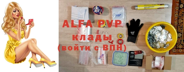 ПСИЛОЦИБИНОВЫЕ ГРИБЫ Бородино